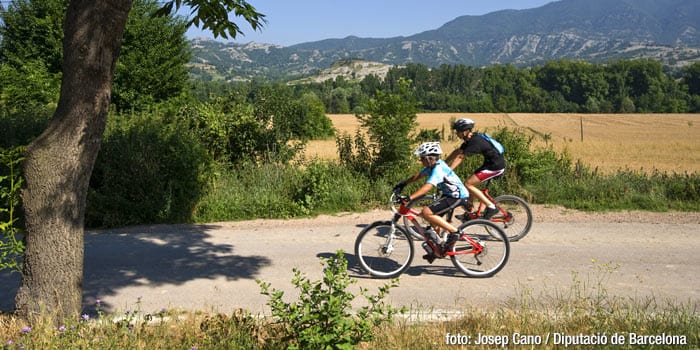 <p>Sant Pere de Torelló</p>