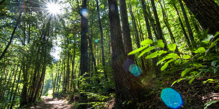 <p>Montseny Natural Park</p>