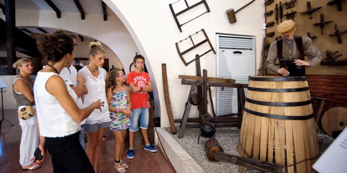 Visites guiades als cellers