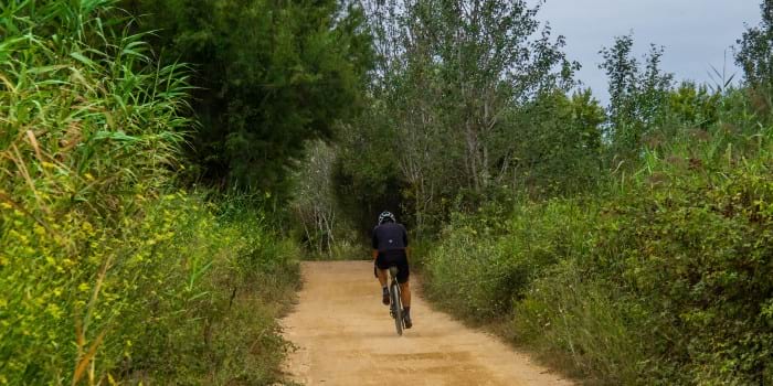 Ruta per anar en bicicleta pel Delta del Llobregat (Fotografia: Bernat Figueras) Ruta para ir en bicicleta por el Delta del Llobregat (Fotografía: Bernat Figueras)
