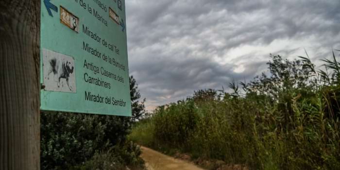 Itineraris de la ruta pel Delta del Llobregat (Fotografia: Bernat Figueras) Itinerarios de rutas por el Delta del Llobregat (Fotografía: Bernat Figueras)