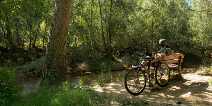 Tram de la ruta del riu Tourdera entre Malgrat de Mar i Palafolls (Fotografia: Turisme Hostalric) Tramo de la ruta del río Tourdera entre Malgrat de Mar y Palafolls (Fotografía: Turisme Hostalric)