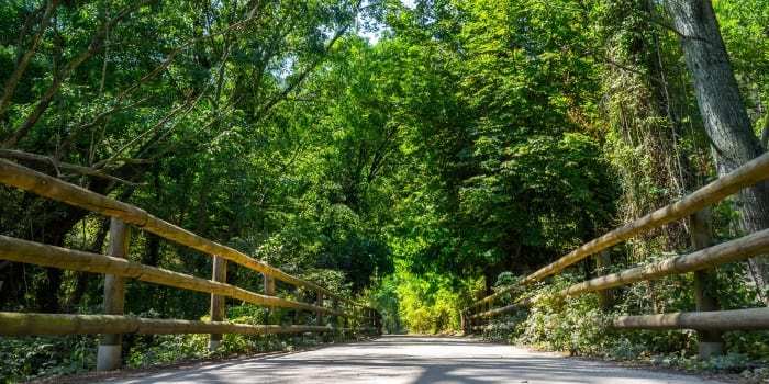 Can Pedret a Rosal (Fotografia: Bernat Figueras) Ruta de Cal Rosal a Pedret (Fotografía: Bernat Figueras)