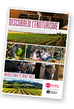 Discover the wine tourism Discover the wine tourism