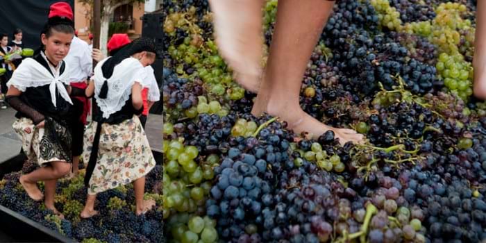 Alella Grape Harvest Festival