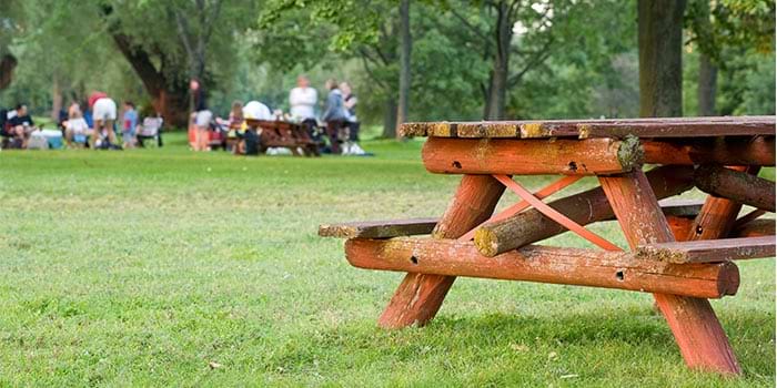 Pícnics per a anar amb la canalla