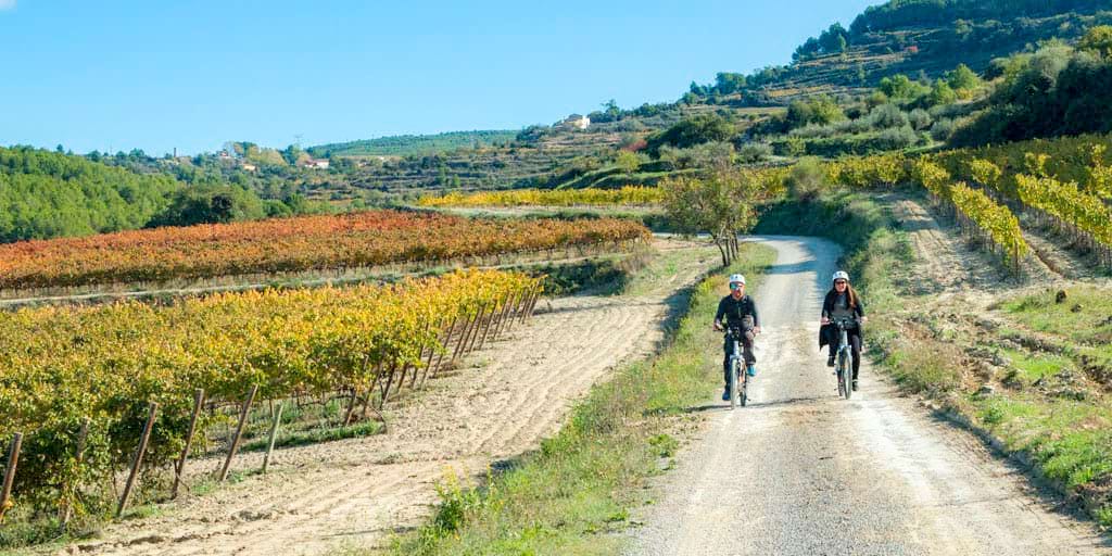 <p>El Penedès en bici</p>