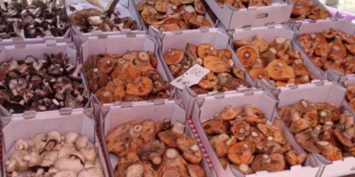 Mercat del Bolet de Cal Rosal