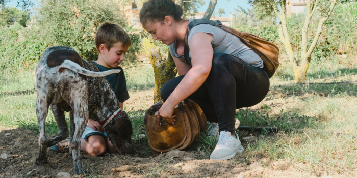 <p>Searching for truffles with a truffle dog</p>