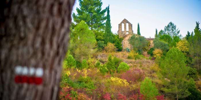 <p>Sant Jaume de Vallhonesta</p>