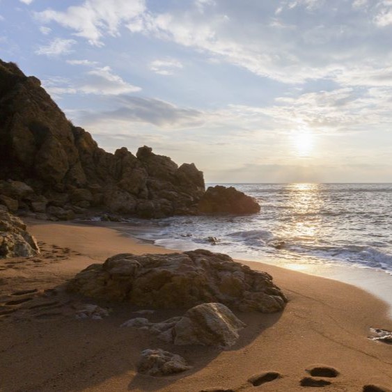Platja de Calella - Roca Grossa